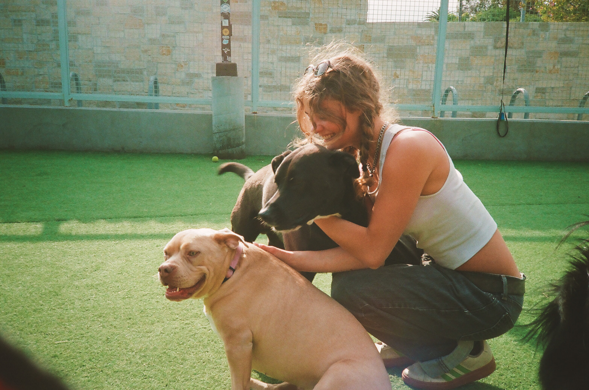 Crew member hugging two dogs at the park