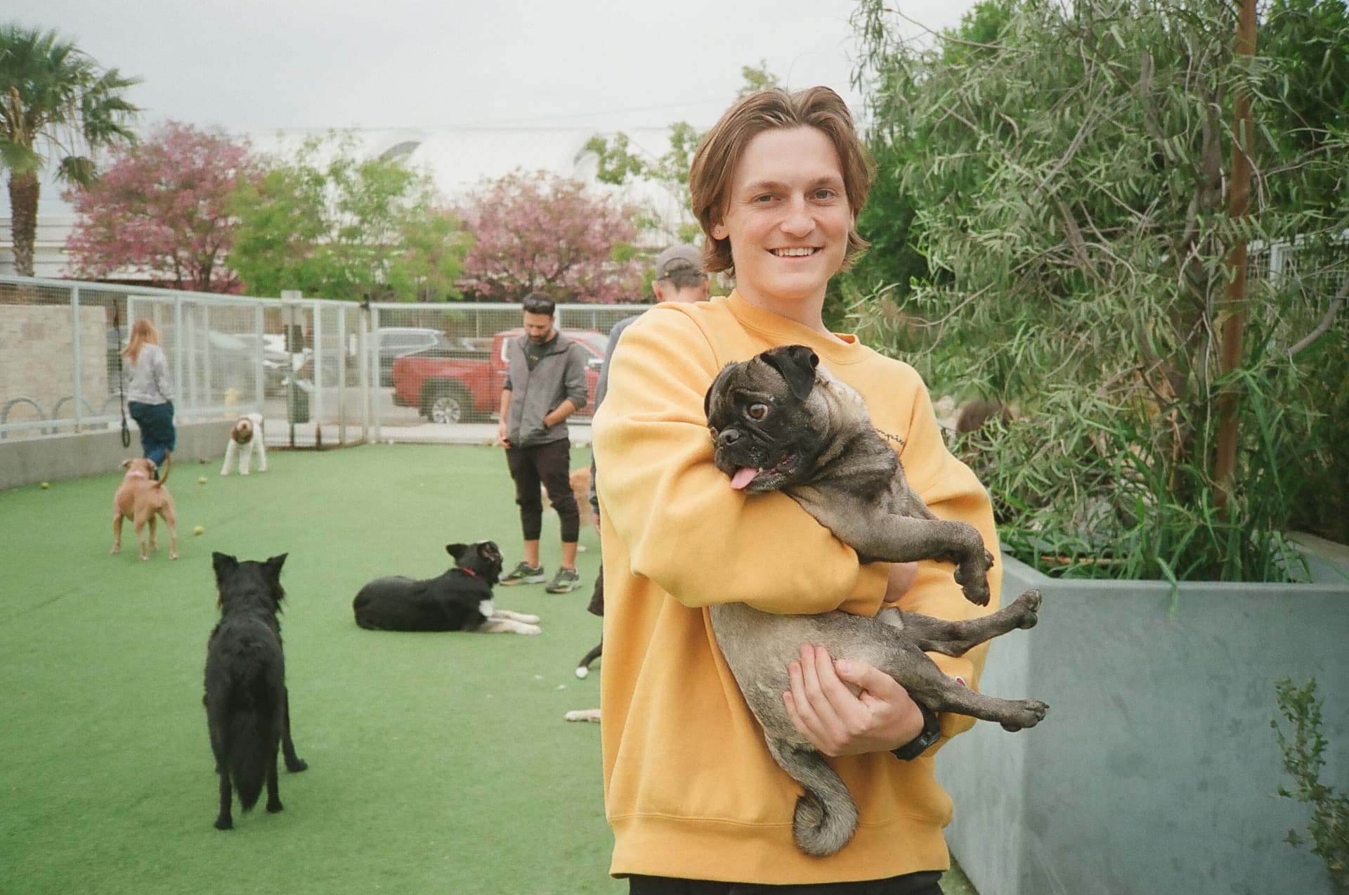 Ed holding Kofi the pug at a dog park in Ocean Park