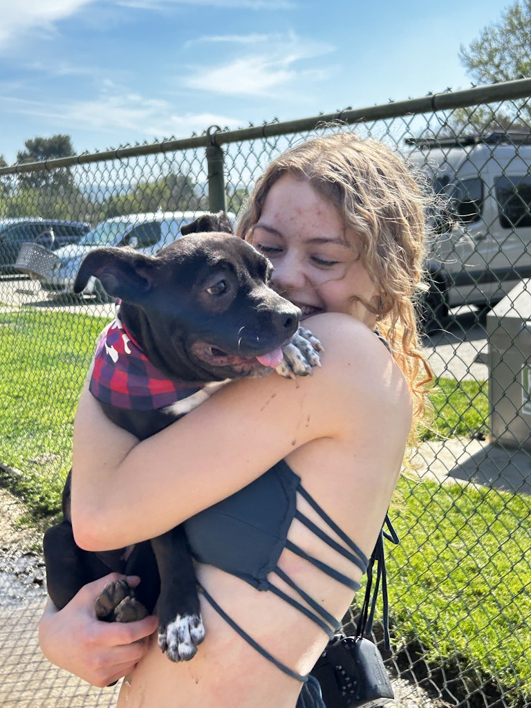 Puppy in a bandana getting a cuddle